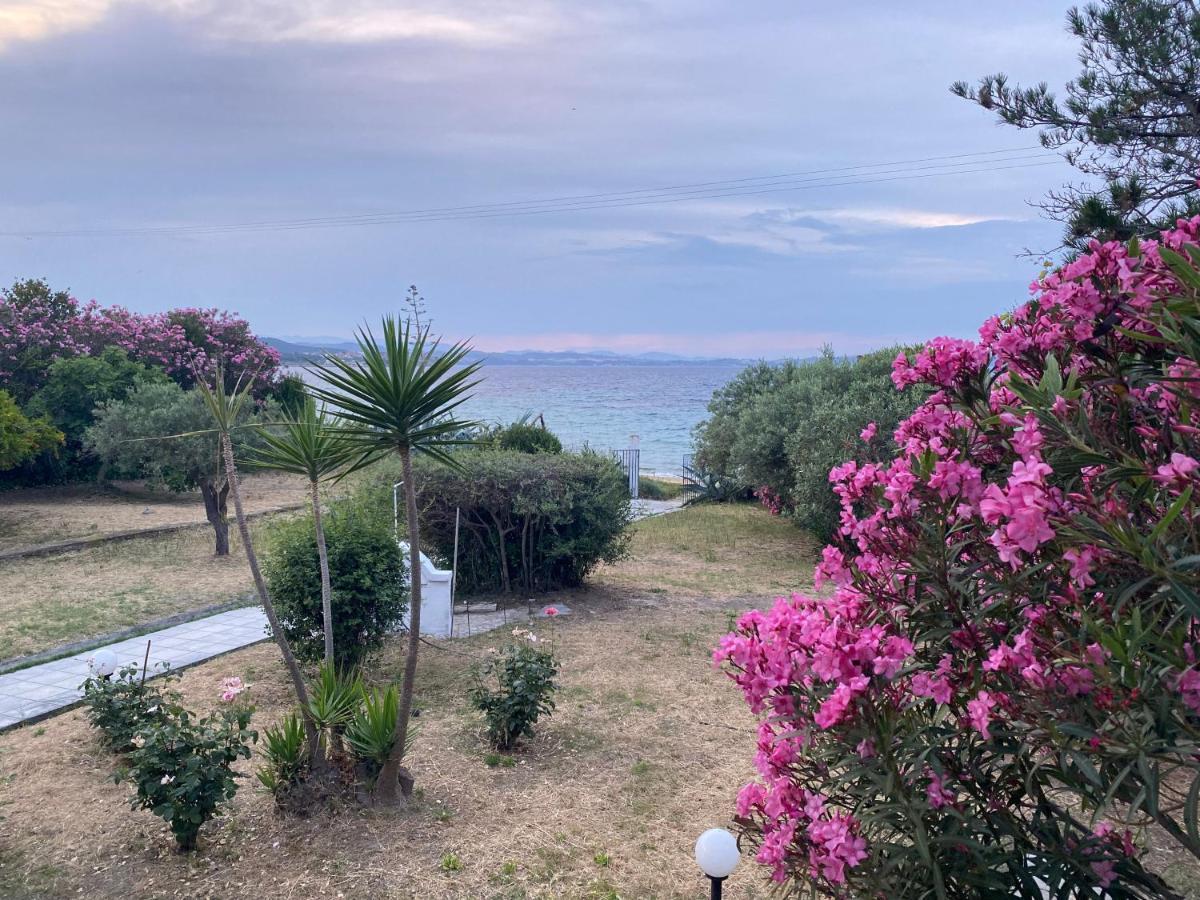 Casa Santa Agua Villa Amoliani Bagian luar foto